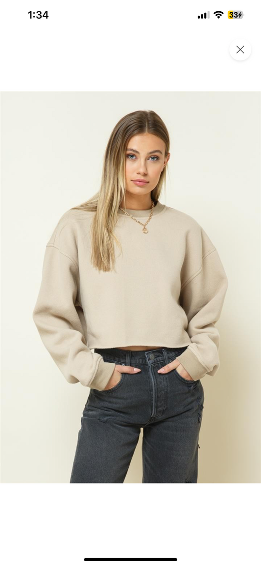 Taupe Cropped Sweatshirt